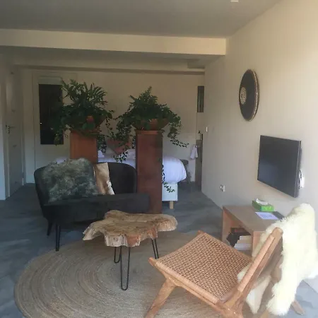 Luxury * زاندفورت